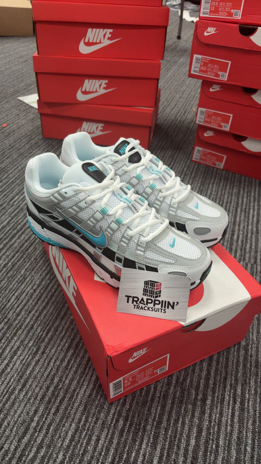 Nike P6000 Dusty Cactus